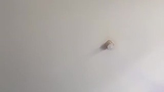 MC Selebgram Cantik Pamer Nenen Tipis2 Instagram